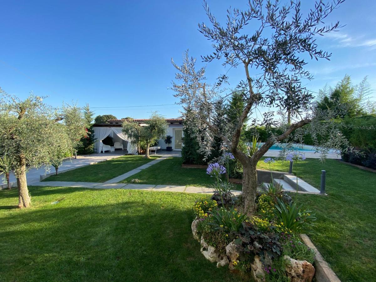 Mincio Relais Bed & Breakfast Castelnuovo del Garda Luaran gambar